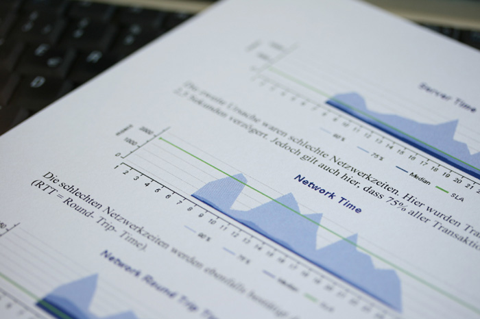 NETCOR GeNiAnalyze - Auszug eines Beispielberichtes